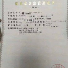 建筑勞務(wù)分包 解析模式、優(yōu)勢與挑戰(zhàn)
